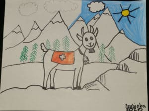 Colored picture of mountain goat. Swiss Kids Camp.
