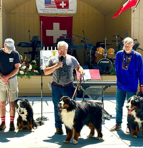 Image of three Burmese Mountain Dogs